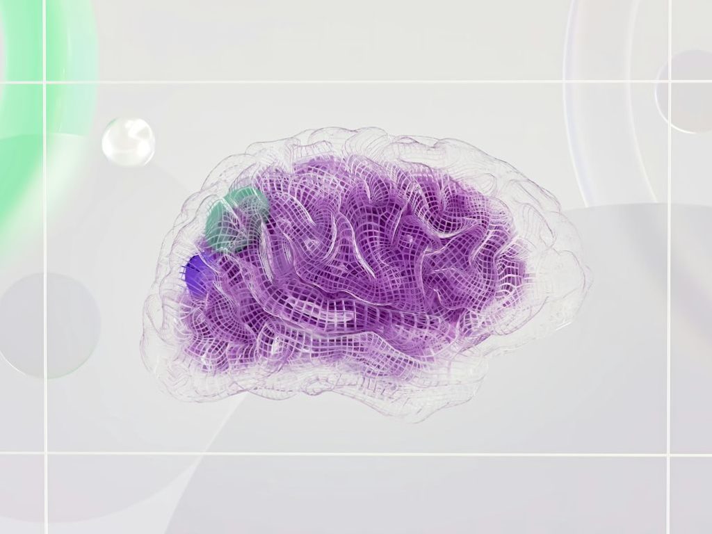 Neuroscience of Abundance