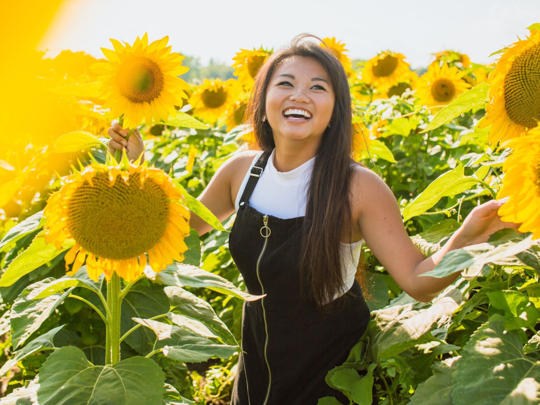 Joyful woman in a field of sunflowers