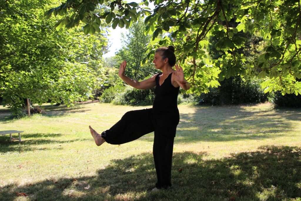 Tai Chi for MIndful Living