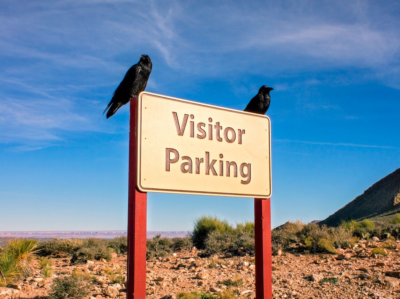 animal symbols - 2 crows
