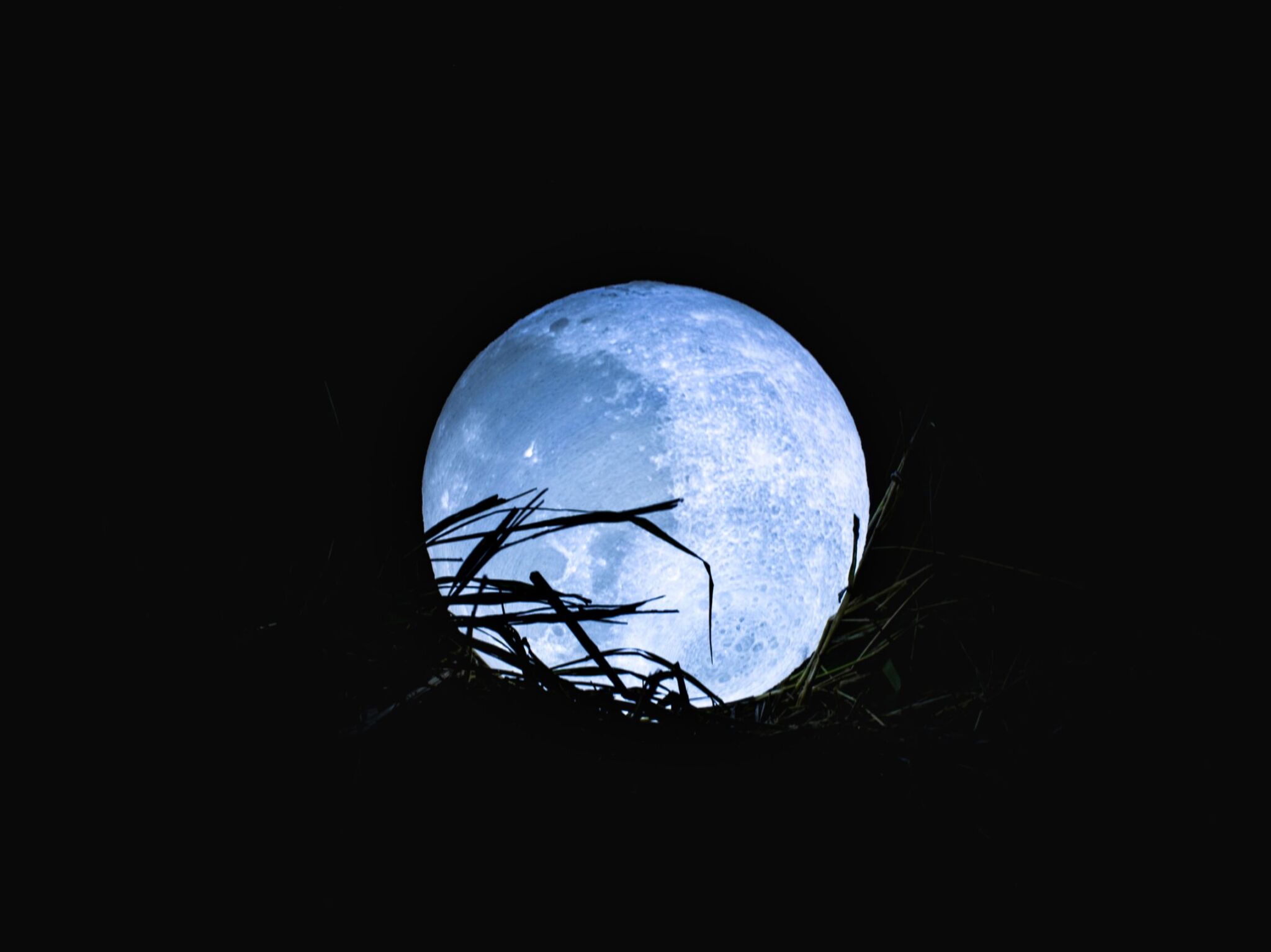 blue moon