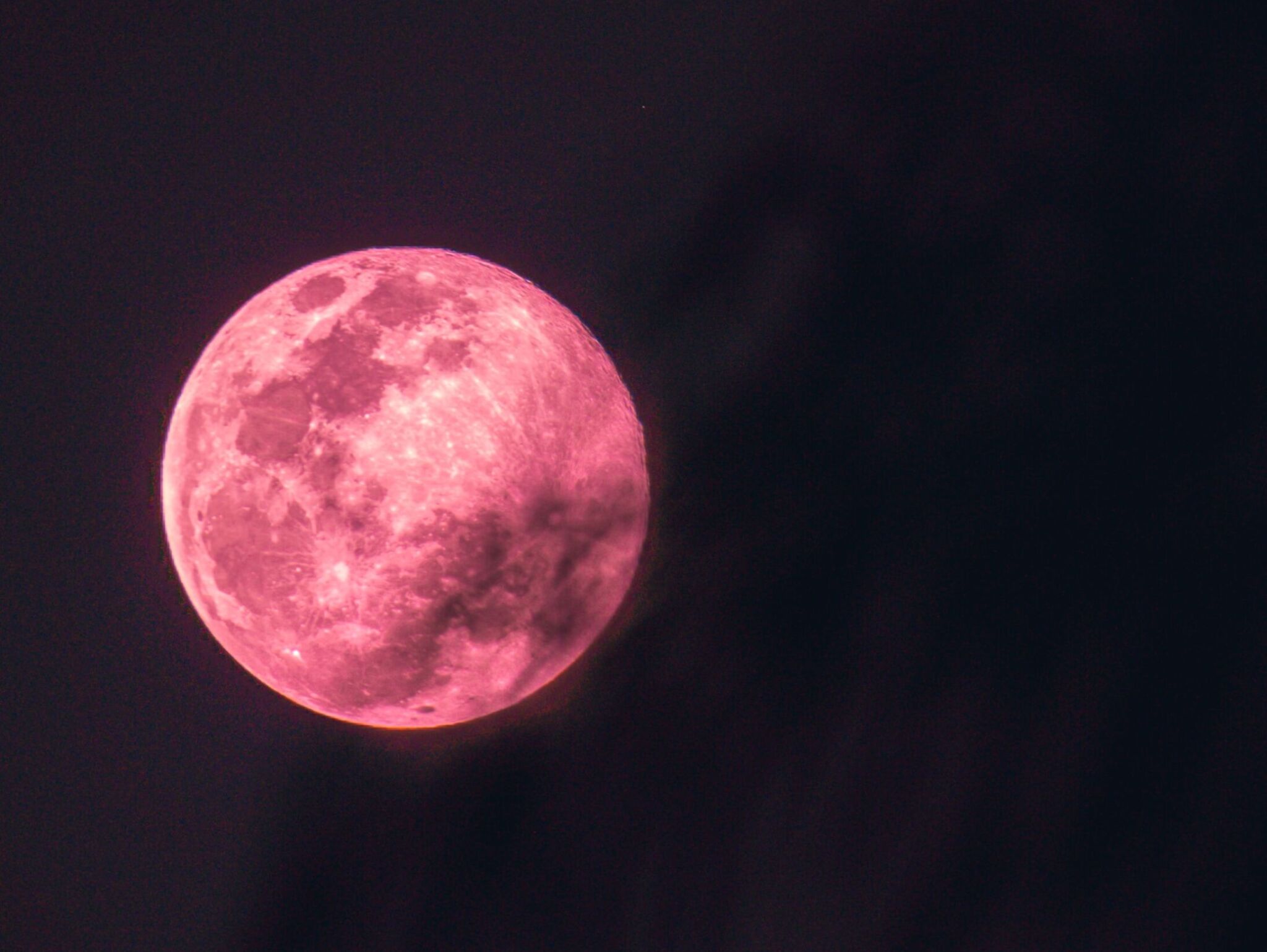 pink moon